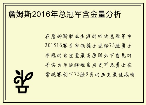 詹姆斯2016年总冠军含金量分析